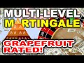 Big steady wins multi level martingale roulette grapefruitsystems