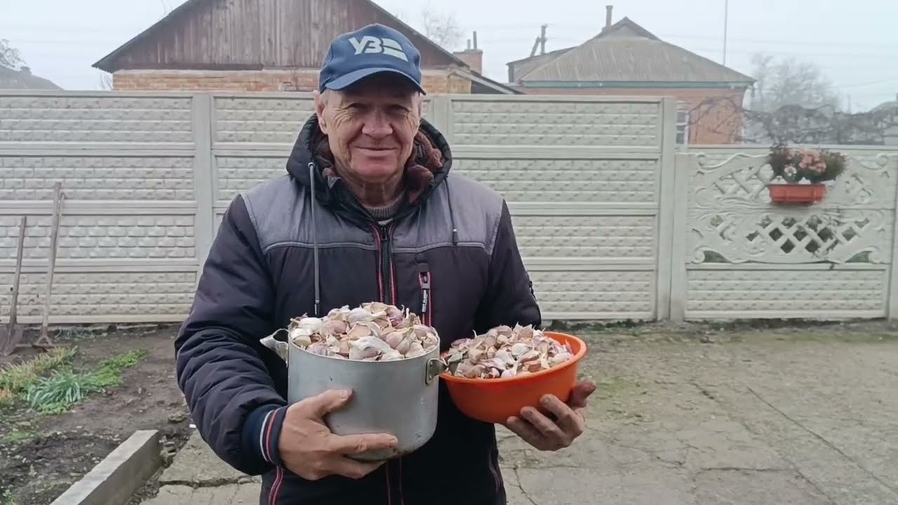 Садимо часник,на зиму,по новому методу.