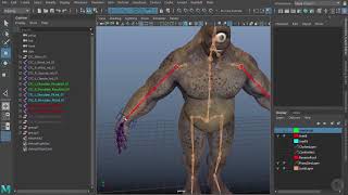 Creating the IK Controls in Maya