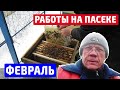 Зимовка пчел Работа на пасеке в феврале