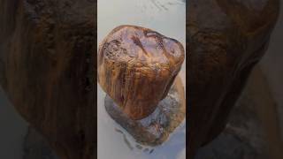 Wooow Amazing 😱⚒️🔨‼️ beautiful wood fossil discovery guys #riverstone #petrifiedwood