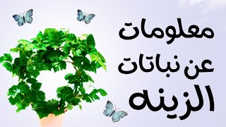 فؤائد النباتات  المنزلية#samirasmadi#عالم النباتات#فوائد #الطبيعة#حقائق واسرار