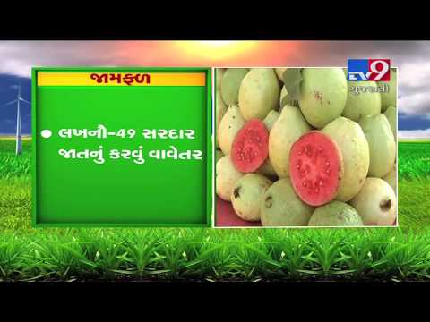 DOs and DON'Ts for cotton, soya bean and fruits farmers | Tv9Dhartiputra