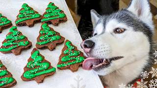 How to Make Christmas Tree Brownies for Dogs 🎄 DIY Dog Treats