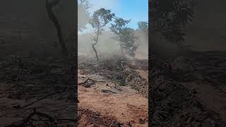 a poeira cubriu Wealth