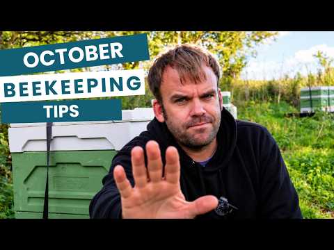 Latest Jurassic Bees Monthly Beekeeping Tips video thumbnail