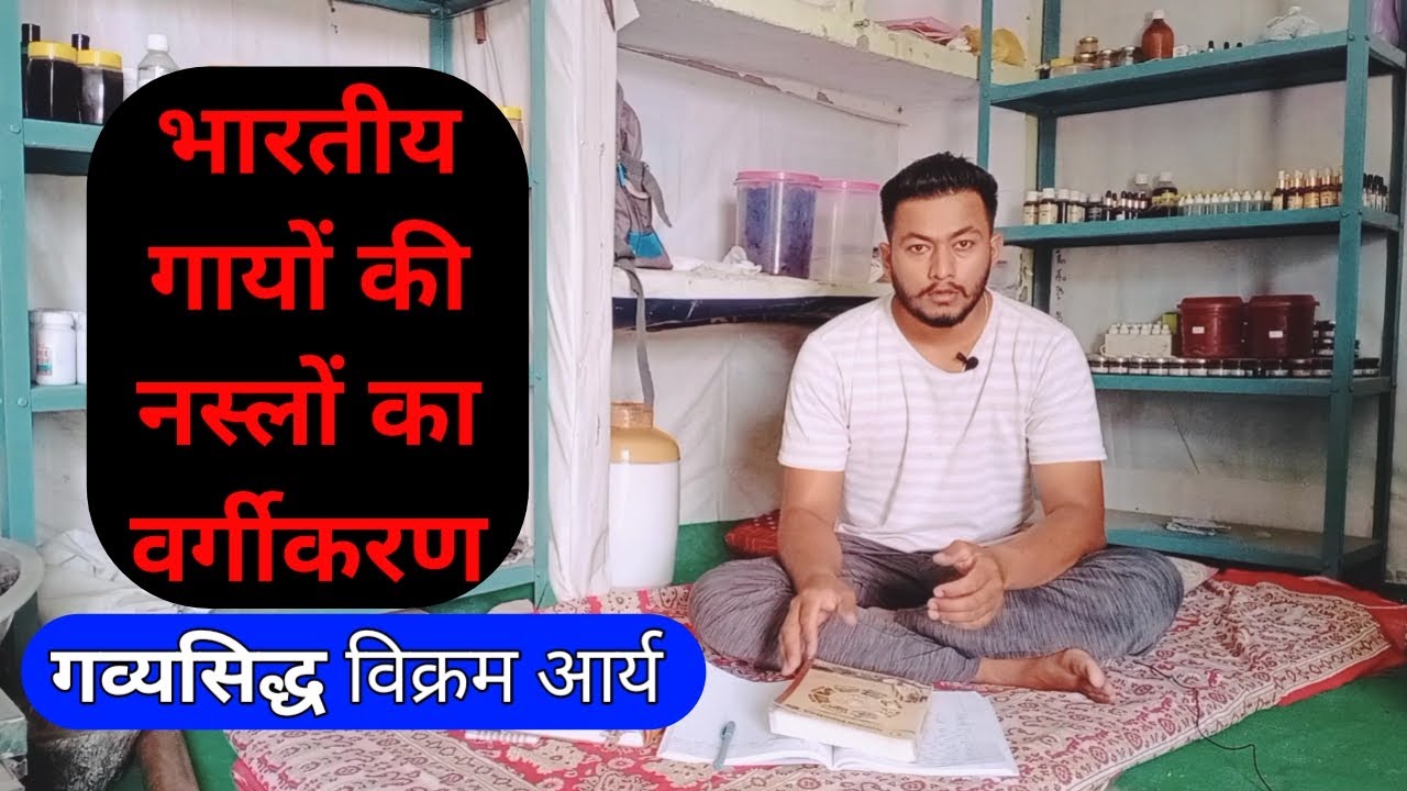 भारतीय गायों की नस्लें। breed of Indian cows।Gauratan ।Vikram Arya ।