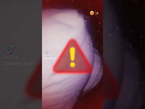 ايوا بطولي وجي الاعبكو