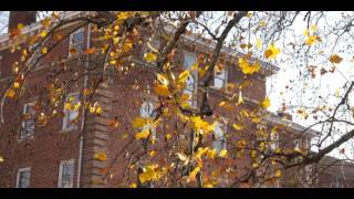 UPIKE Campus Fall