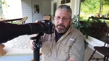 Photographing Ruby-throated Hummingbirds