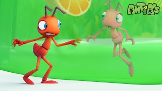 Jelly Bellies 😒 ANTIKS | Moonbug Kids - Funny Cartoons and Animation