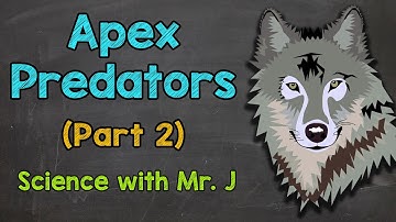 Apex Predators (Part 2): Factors that Keep Apex Predator Populations in Check | Ecosystems