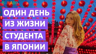 День из жизни студента языковой школы в Японии. Международная академия Аояма.