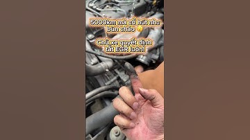 Chủ xe quyết định tắt EGR triệt để bằng phần mềm + bịt đúng kỹ thuật.