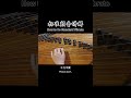 古筝的灵魂～颤音