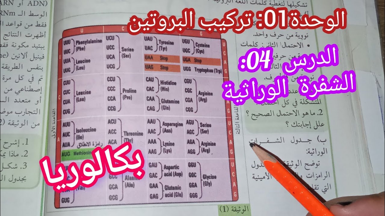 الدرس 04 : الشفرة الوراثية +كيفية قراءة جدول الشفرة الوراثية للسنة 3 ثانوي (عت+ ر)/بكالوريا
