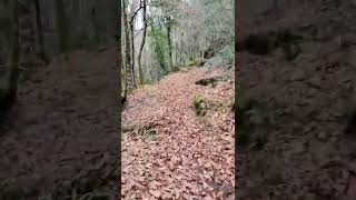 Ruta Pozas do Mallón - Río Barcia O Castro Laboreiro - Entrimo - Ourense