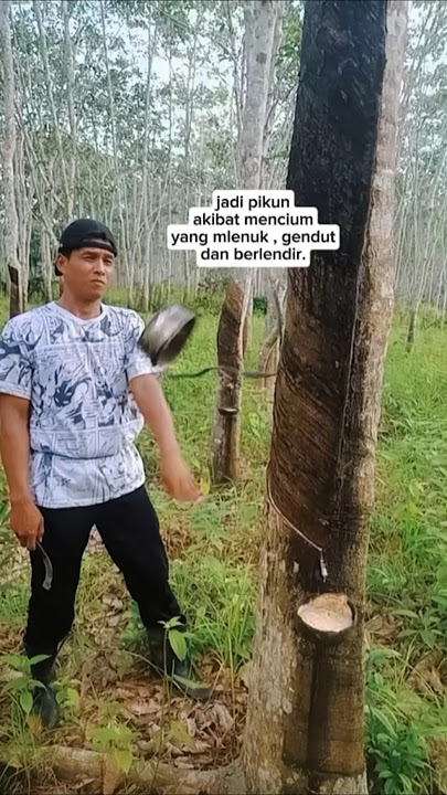 jadi pikun akibat mencium yang tembem . #shortsfeed #shorts #shortsvideoviral #lucu #funny