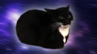 Maxwell cat Phonk Resimi