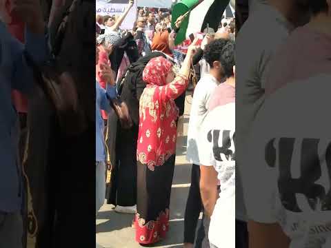 نص المادة الرابعة من الدسيور المصري السيادة للشعب وهو مصدر السلطات وثائقي