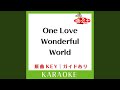 One Love Wonderful World (Produced and arranged by FILUR) (カラオケ) (原曲歌手:平井堅)