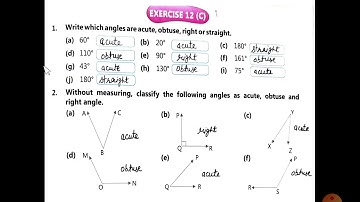 Grade 4 Maths Ch12 Basic Geometrical Concepts Ex 12 C video 3