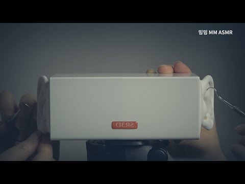 [ASMR] SR3D-갈고리 귀청소(양쪽 동시)/ Dental pick Ear Cleaning(Both)/ No Talking