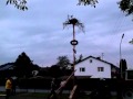 Storch