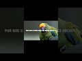 PAPAGAIO BICUDO CONSEGUE ALEGRAR TODO MUNDO!