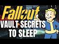 200 Fallout Vault Secrets To Get Cozy