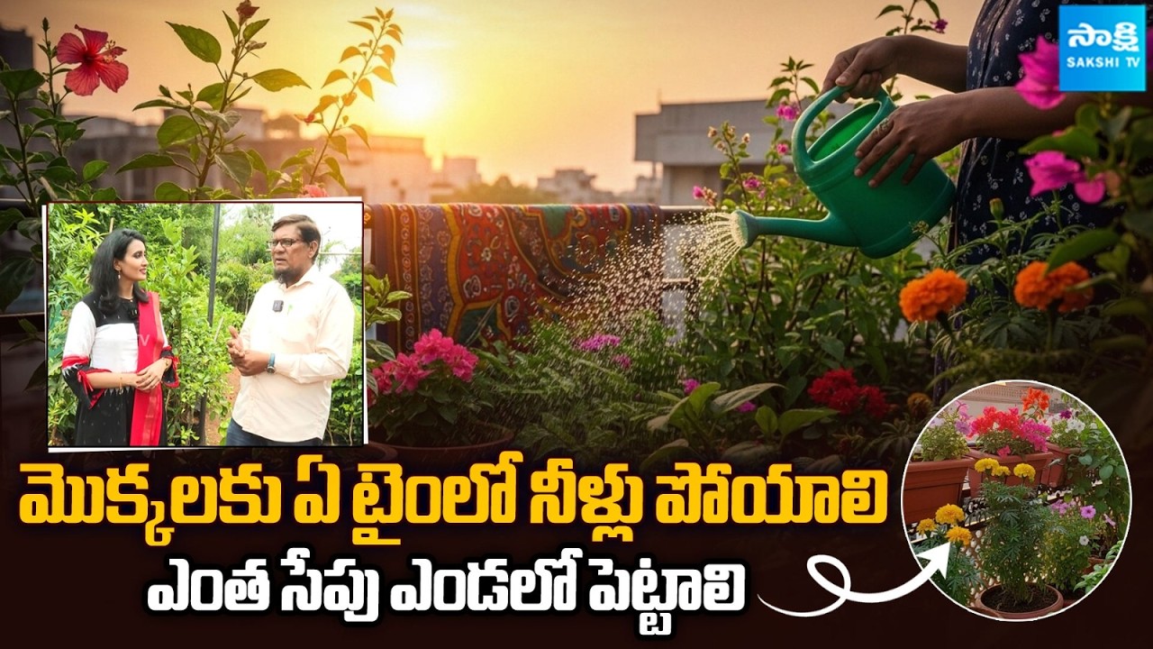 How To Start Terrace Garden | Gardening Ideas | Beginner Guide For ...