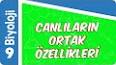 Biyoloji - Üreme ve  Çeşitleri Nedir? Nelerdir ? Ders Notu ve Konu Anlatımı ile ilgili video