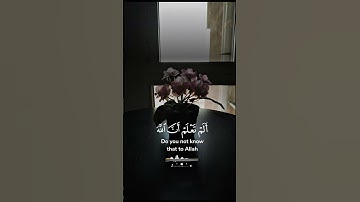 قراءة القرآن الكريم انشر المقطع اجر لي ولكم #القرآن_الكريم #quran #قراءة #اكسبلور