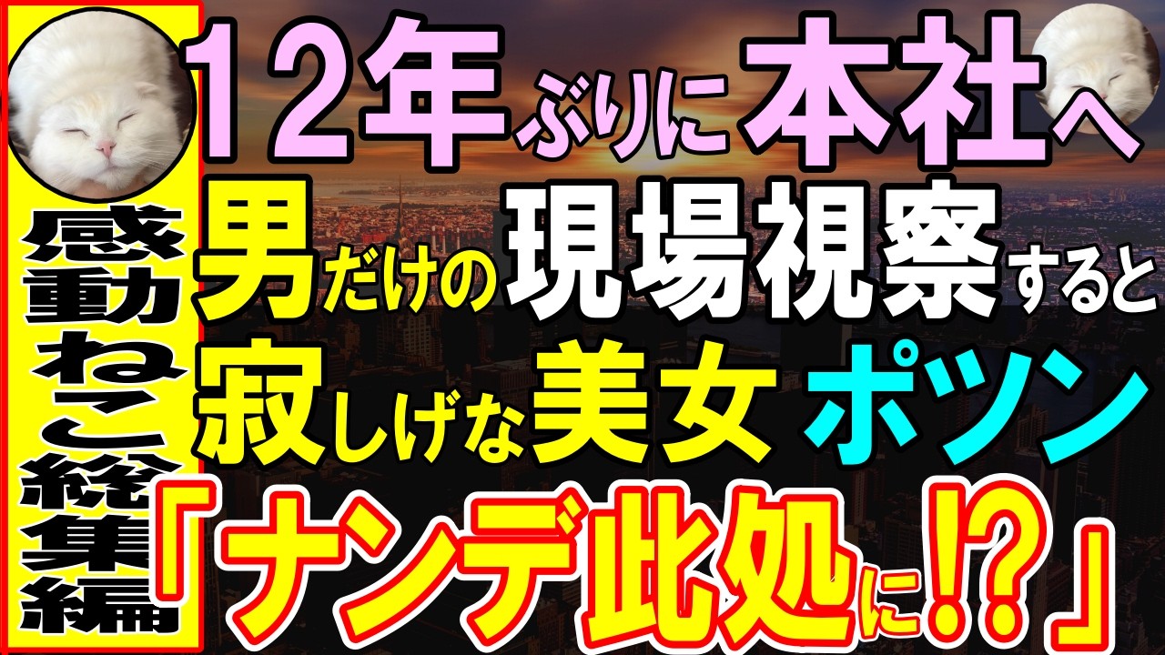 【感動する話】12年ぶりに本社帰還し、現場に査察に行くと、俺が口説けなかった美人経理部がひとりポツン。退職したはずの彼女が冷遇されていた事実発覚。この後意外な展開に…【いい話・泣ける話・朗読】