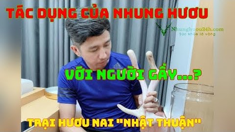 [Nhunghuou24h.com] Tác dụng của nhung hươu đối với người gầy và cách sử dụng hiệu quả nhất.
