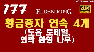 #177 황금종자 연속 4개 (도읍 로데일, 외곽 환영 나무) #엘든링