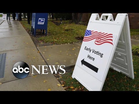 Minority communities targeted by misleading info in US elections.