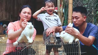 Ful video: Làm lồng bằng cây tre cho 3 chú thỏ mới ,Toanvilogs835