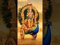 సుబ్రహ్మణ్యేశ్వర స్వామి 🙏 #devotional #trending #subramanyaswamy #pecock #viral