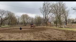video 1648828792