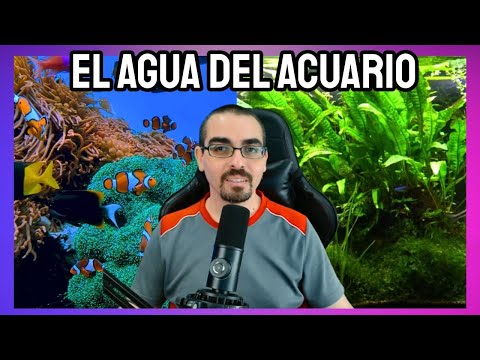 THE IMPORTANCE OF WATER IN THE AQUARIUM