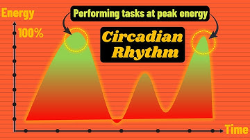 Peak Performance: Aligning Your Work with Your Circadian Rhythm
