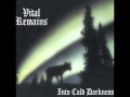 Vital Remains -  Scrolls of a millenium past