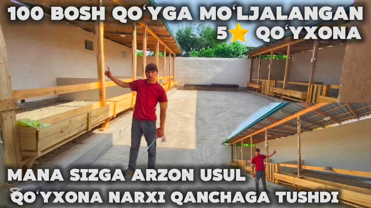 ARZON USULDA QUYXONA QURISH BU QOʻRA QANCHAGA BITDI