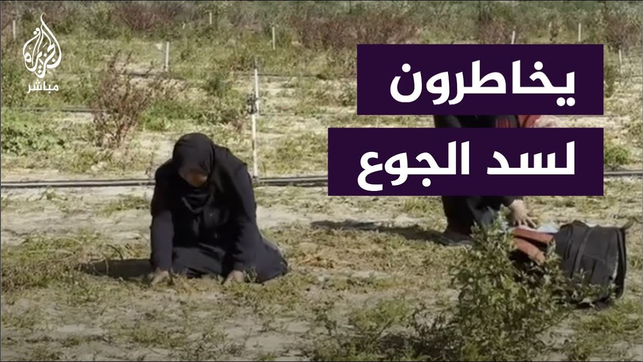 فلسطينيون ينبشون الأرض لإخراج ما يصلح للأكل