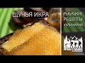 Щучья икра (рецепты от Кизиловых)