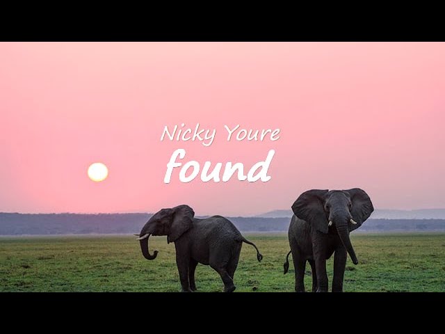 Nicky Youre - Found (Lyrics) [from the Netflix Film The Magician's Elephant] class=