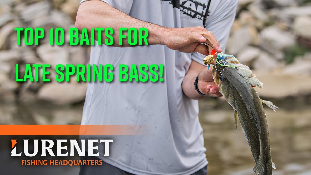 Spring Time Jerkbait Tactics - Bass Fishing Videos and Tips