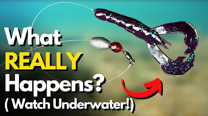 See What REALLY Happens With Carolina Rig Leader Length (2 Lures TESTED)