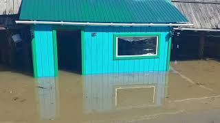 Наводнение в Омской области.  Большая вода пришла в соболиный дом